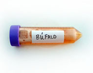Plasma de Búfalo